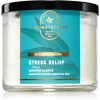 Bath & Body Works Eucalyptus & Tea ароматна свещ 411 гр.