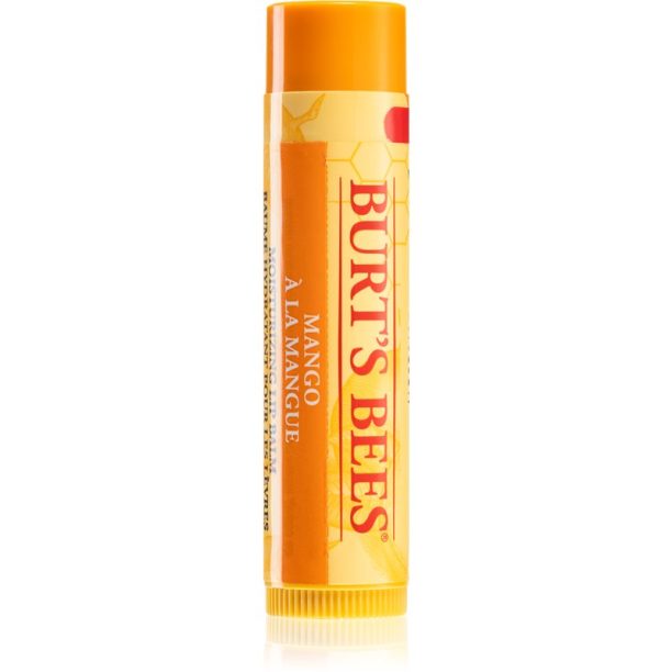 Burt’s Bees Lip Care подхранващ балсам за устни (with Mango Butter) 4