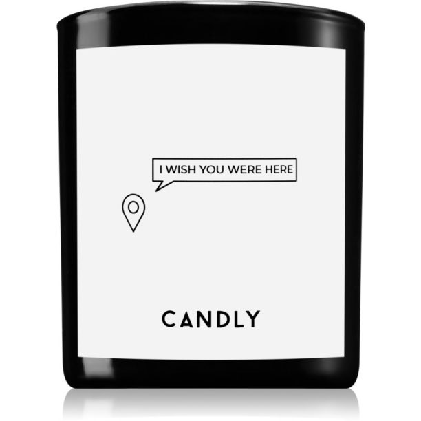 Candly & Co. I wish you were here ароматна свещ 250 гр.