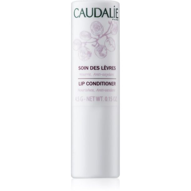 Caudalie Moisturizers балсам за устни 4 гр.