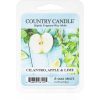 Country Candle Cilantro