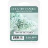 Country Candle Frosty Branches восък за арома-лампа 64 гр.