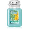 Country Candle Mango Nectar ароматна свещ 680 гр.