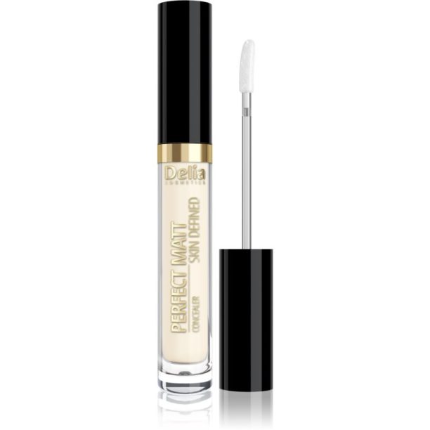 Delia Cosmetics Perfect Matt Skin Defined течен коректор цвят 02 Ivory 2.5 мл.