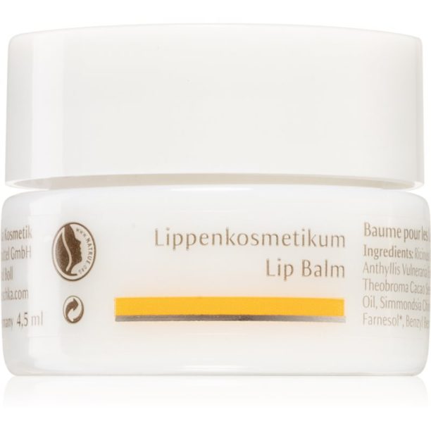 Dr. Hauschka Eye And Lip Care балсам за устни с подхранващ ефект 4