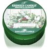 Kringle Candle Juniper & Laurel чаена свещ 42 гр.