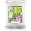 Kringle Candle Succulents ароматна свещ 411 гр.