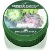 Kringle Candle Succulents чаена свещ 42 гр.