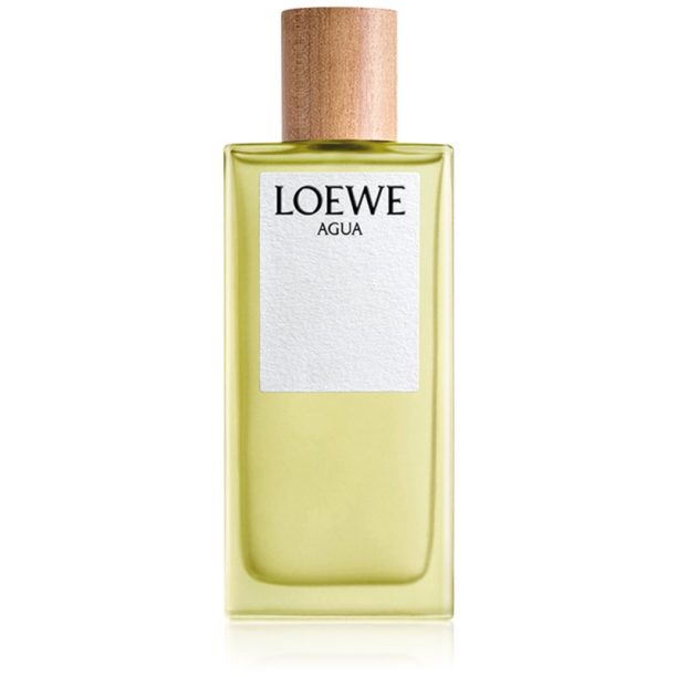 Loewe Agua тоалетна вода унисекс 100 мл. на ниска цена