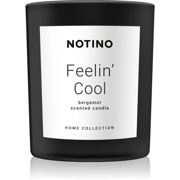 Notino Home Collection Feelin' Cool (Bergamot Scented Candle) ароматна свещ 220 гр. на ниска цена