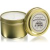 Paddywax Apothecary Amber & Smoke ароматна свещ  в кутия 56 гр.