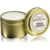 Paddywax Apothecary Tobacco & Patchouli ароматна свещ  в кутия 56 гр.