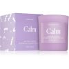 Paddywax Wellness Calm ароматна свещ 141 гр. на ниска цена