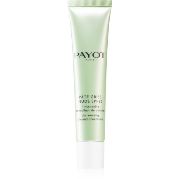 Payot Pâte Grise Nude SPF 30 цялостна тонираща грижа против несъвършенства по лицето SPF 30 40 мл.