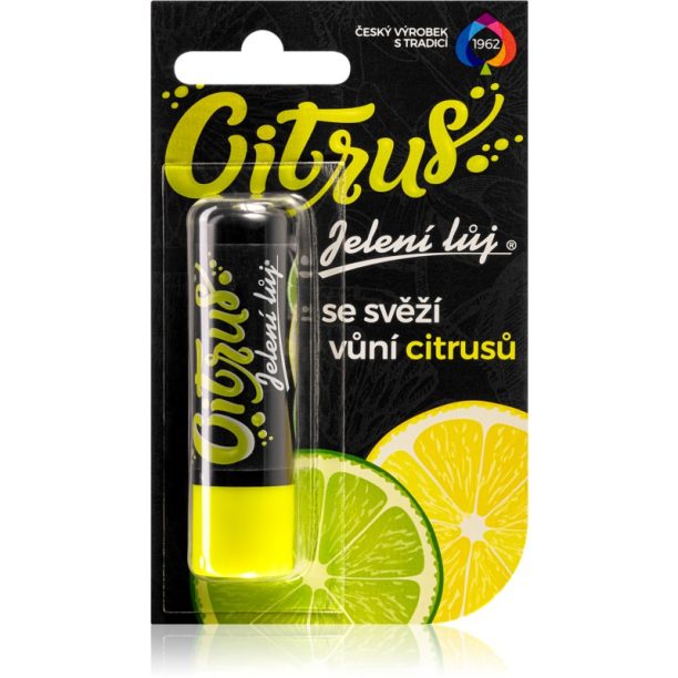 Regina Citrus балсам за устни цитрус 4.5 гр.