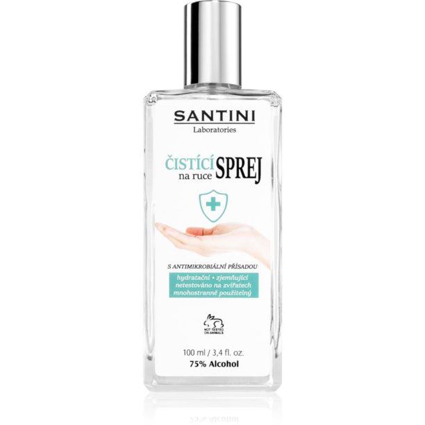 SANTINI Cosmetic Santini spray спрей за почистване на ръце с антимикробна съставка 100 мл.