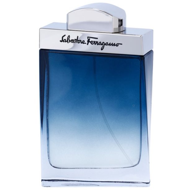 Salvatore Ferragamo Subtil Pour Homme тоалетна вода за мъже 100 мл.