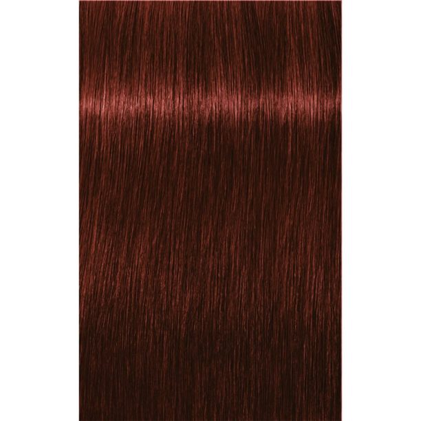 Schwarzkopf Professional IGORA Royal Absolutes боя за коса цвят 5-80 Light Brown Red Natural 60 мл. на ниска цена