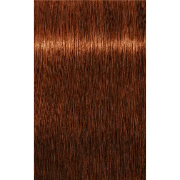 Schwarzkopf Professional IGORA Royal Absolutes боя за коса цвят 6-70 Dark Blonde Copper Natural 60 мл. на ниска цена