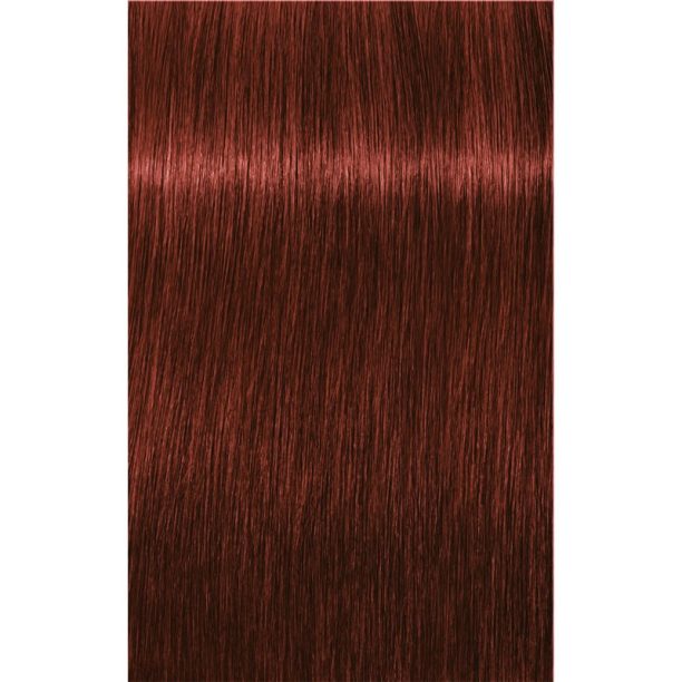 Schwarzkopf Professional IGORA Royal Absolutes боя за коса цвят 6-80 Dark Blonde Red Natural 60 мл. на ниска цена