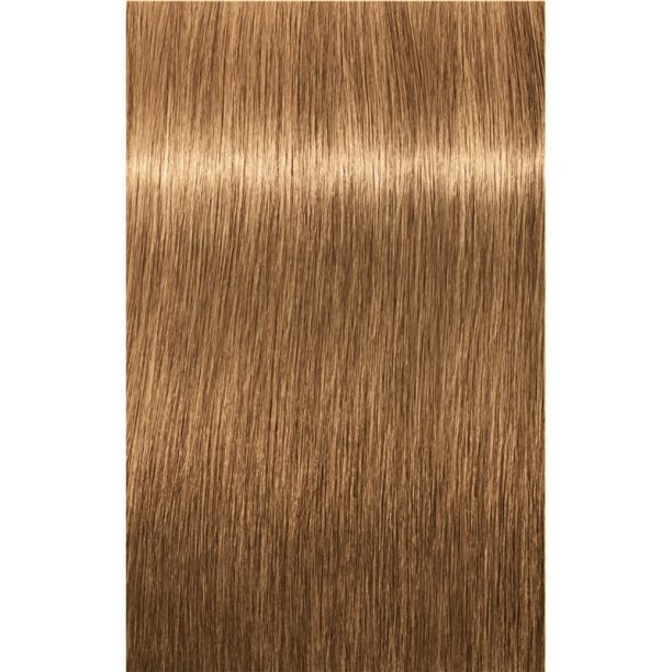 Schwarzkopf Professional IGORA Royal Absolutes боя за коса цвят 8-50 Light Blonde Gold Natural 60 мл. на ниска цена