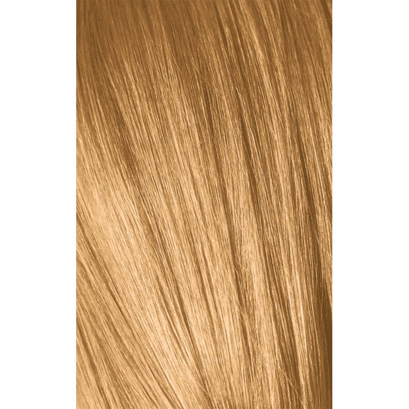 Schwarzkopf Professional IGORA Royal Absolutes боя за коса цвят 9-50 Extra Light Blonde Gold Natural 60 мл. на ниска цена