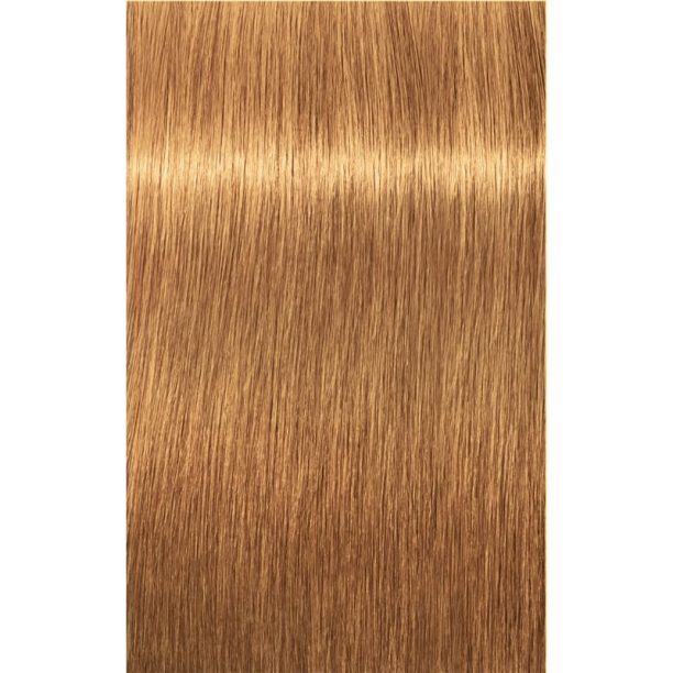 Schwarzkopf Professional IGORA Royal Absolutes боя за коса цвят 9-60 Extra Light Blonde Chocolate Natural 60 мл. на ниска цена