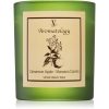 Vila Hermanos Aromatology Cinnamon and Apple ароматна свещ 200 гр.