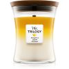 Woodwick Trilogy Fruits of Summer ароматна свещ с дървен фитил 275 гр.