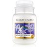 Yankee Candle Midnight Jasmine ароматна свещ 623 гр.