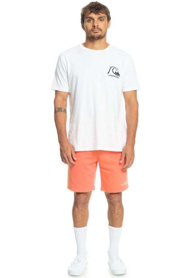 Бермуди Local Surf с връзка QUIKSILVER