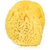 Agnotis Natural sponge детска гъба за миене 1 бр. на ниска цена