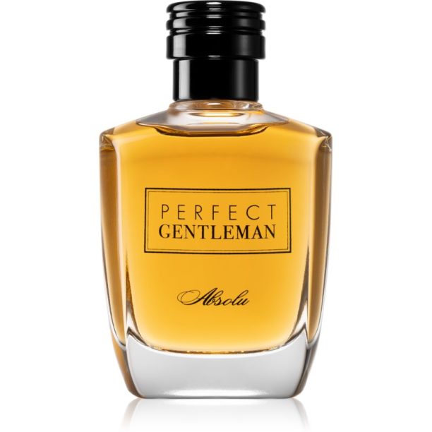 Art & Parfum Perfect Gentleman  Absolu парфюмна вода за мъже 100 мл.