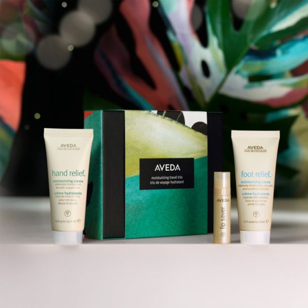 Aveda Moisturizing Travel Trio подаръчен комплект на ниска цена