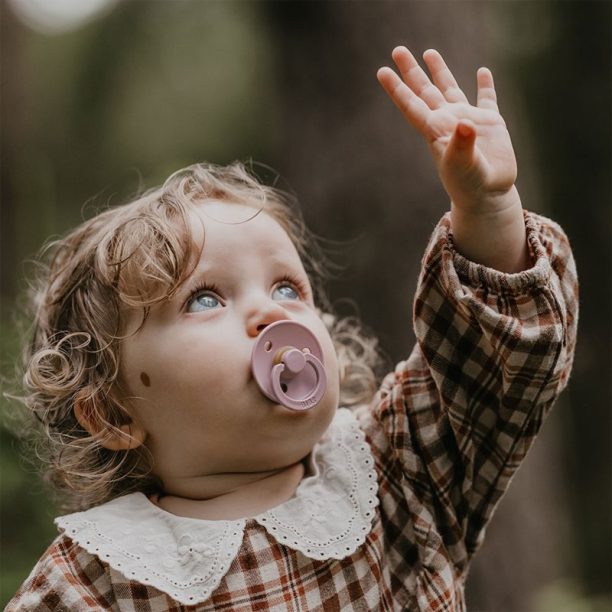 Colour Natural Rubber Size 1: 0+ months BIBS Colour Natural Rubber Size 1: 0+ months биберон Pink Plum / Elderberry 2 бр. - оригинален продукт