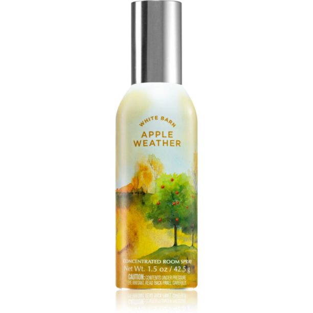 Bath & Body Works Apple Weather cпрей за дома 42