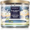 Bath & Body Works Blue Spruce & Spice ароматна свещ 411 гр.