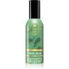 Bath & Body Works Eucalyptus Spearmint cпрей за дома I. 42