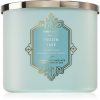 Bath & Body Works Frozen Lake ароматна свещ 411 гр.