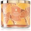 Bath & Body Works Spiced Cranberry Toffee ароматна свещ 411 гр.