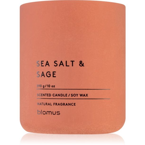 Blomus Fraga Sea Salt & Sag ароматна свещ 290 гр. на ниска цена