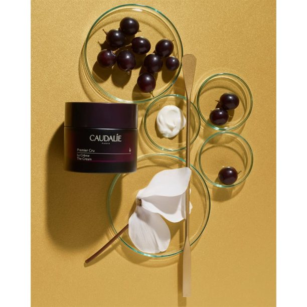 Caudalie Premier Cru La Creme хидратиращ крем за лице анти стареене 50 мл. купи на топ цена