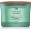 Chesapeake Bay Candle Mind & Body Balance & Harmony ароматна свещ I. 312 гр.