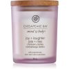 Chesapeake Bay Candle Mind & Body Joy & Laughter ароматна свещ 96 гр.