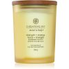 Chesapeake Bay Candle Mind & Body Strength & Energy ароматна свещ 250 гр.