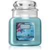 Country Candle Blue Raspberry ароматна свещ 453 гр.