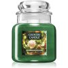 Country Candle Bohemian Holiday ароматна свещ 453 гр.