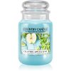 Country Candle Cilantro