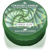 Country Candle Spiral Aloe чаена свещ 42 гр.