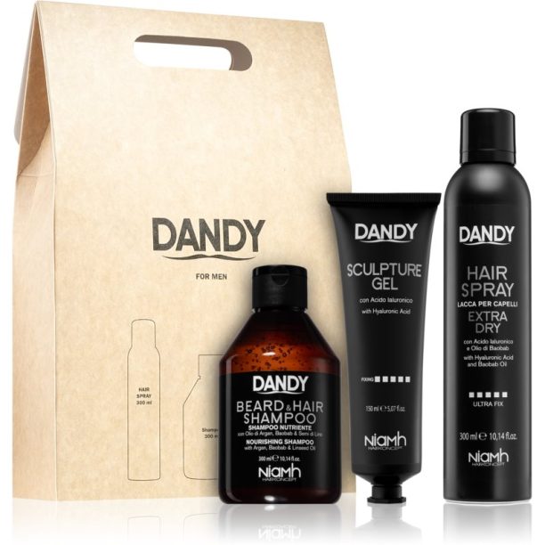 DANDY Styling gift set подаръчен комплект за мъже